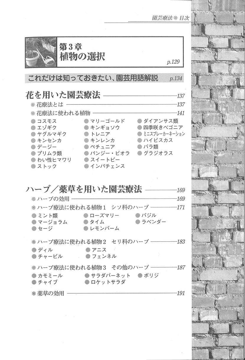 園芸療法２右側