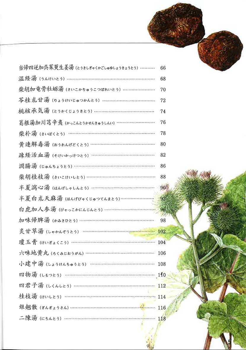 漢方ポケット図鑑２右側