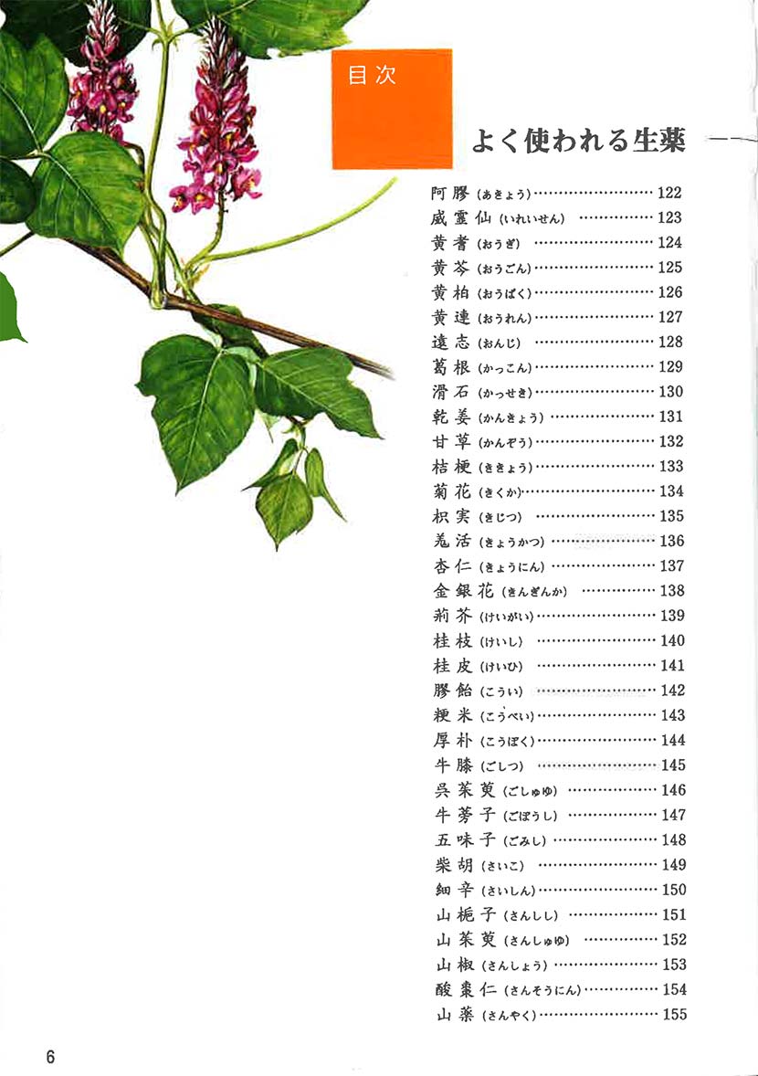 漢方ポケット図鑑3左側